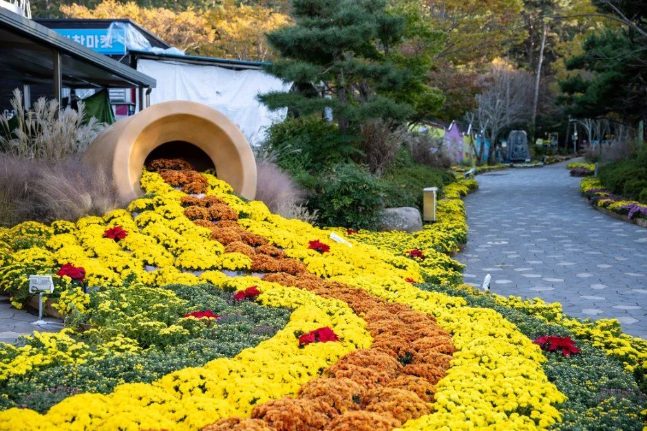 2026 월출산 국화축제 (2).jpg