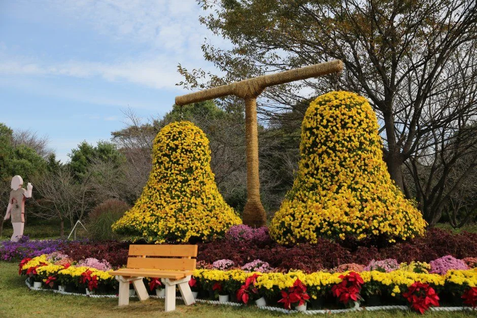 2026 드림파크 국화축제 (2).JPG