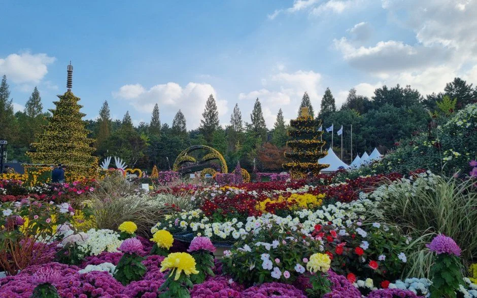 2026 익산천만송이 국화축제 (5).jpg