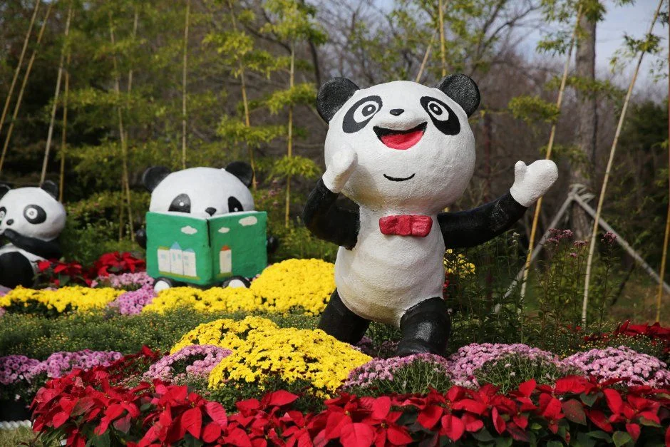 2026 드림파크 국화축제 (5).JPG