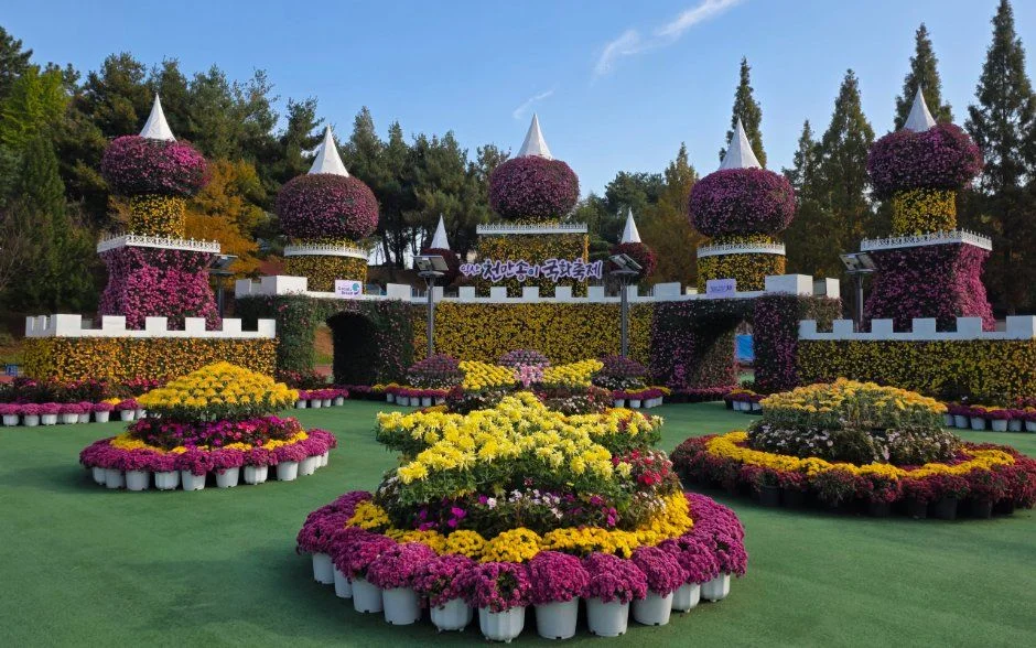 2026 익산천만송이 국화축제 (1).jpg