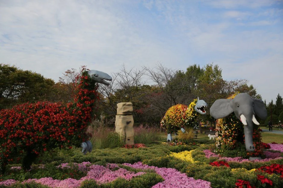 2026 드림파크 국화축제 (4).JPG