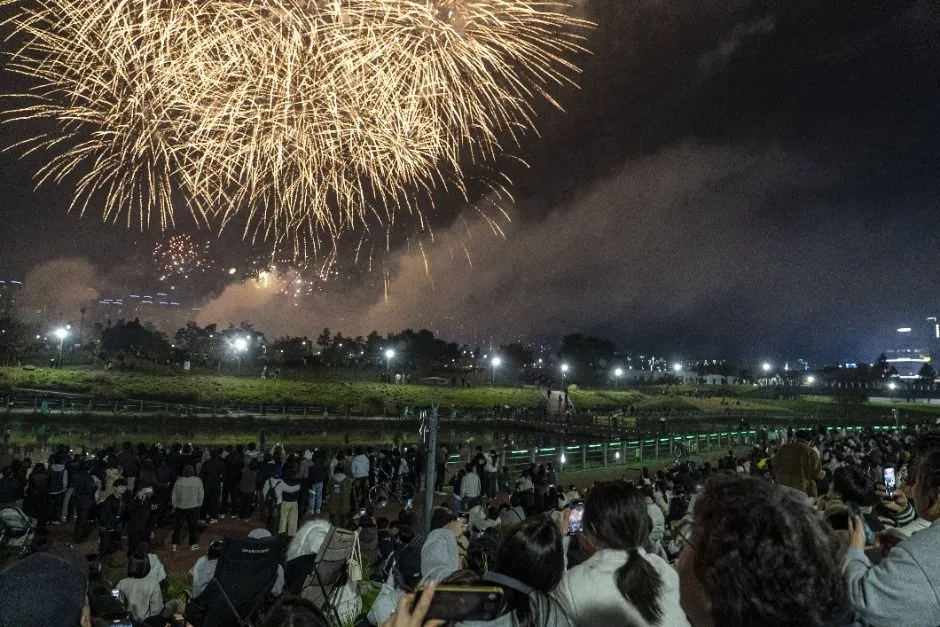 운정호수공원 불꽃축제 축제 이미지